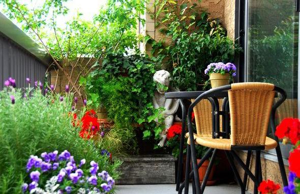 Sân thượng kết hợp màu sắc độc đáo, đa dạng từ các loài hoa