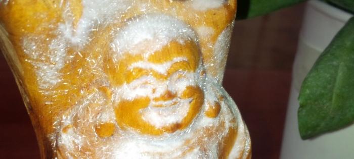 Gỗ hoàng đàn tuyết