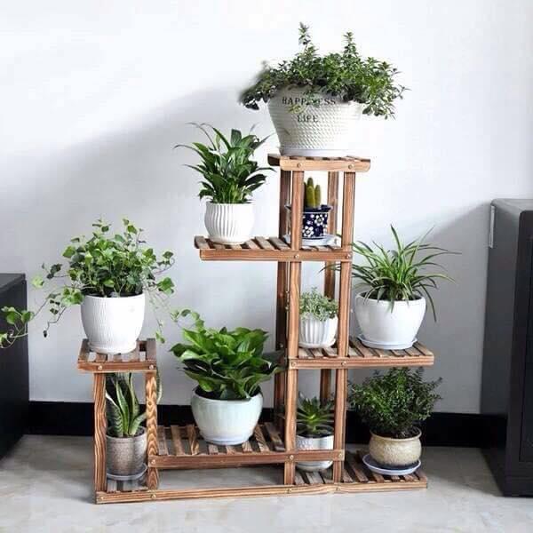 Sử dụng kệ gỗ để trồng cây xanh