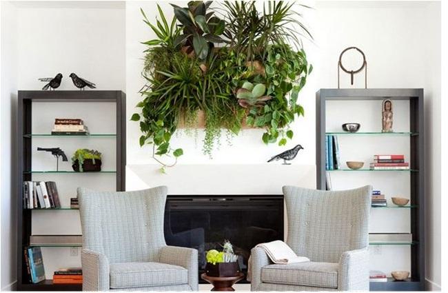 Tường thực vật tạo không gian trong lành và thư giãn